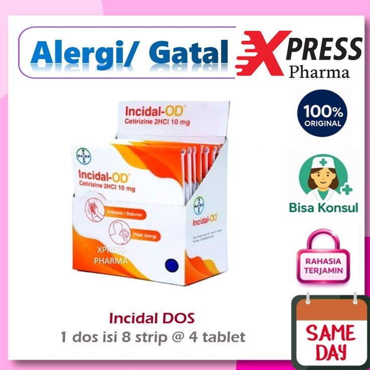 XPRESS  DOS Incidal OD isi 8 strip @ 4 tablet kapsul Gatal alergi Obat isi Tablet Insidal Box Boks D