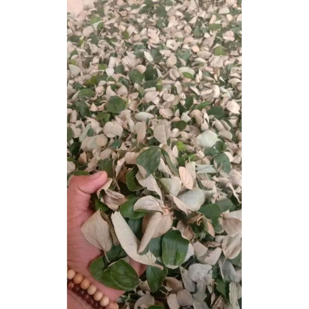 Daun bidara kering 1kg