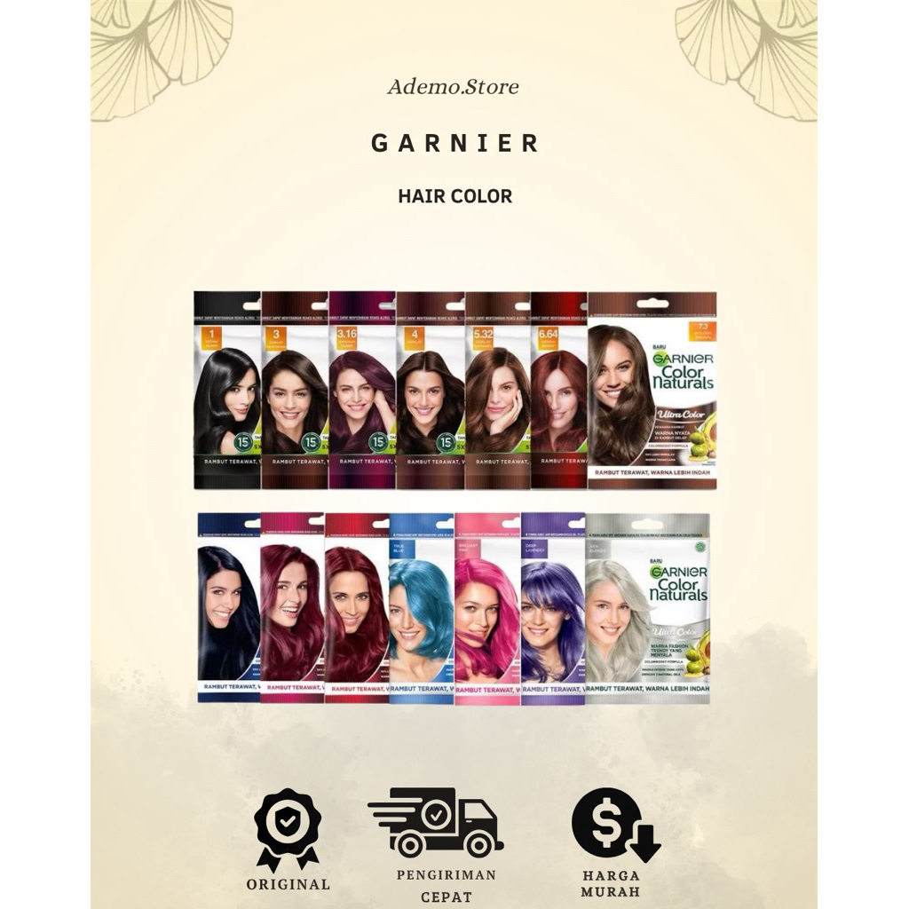 Garnier Hair Color