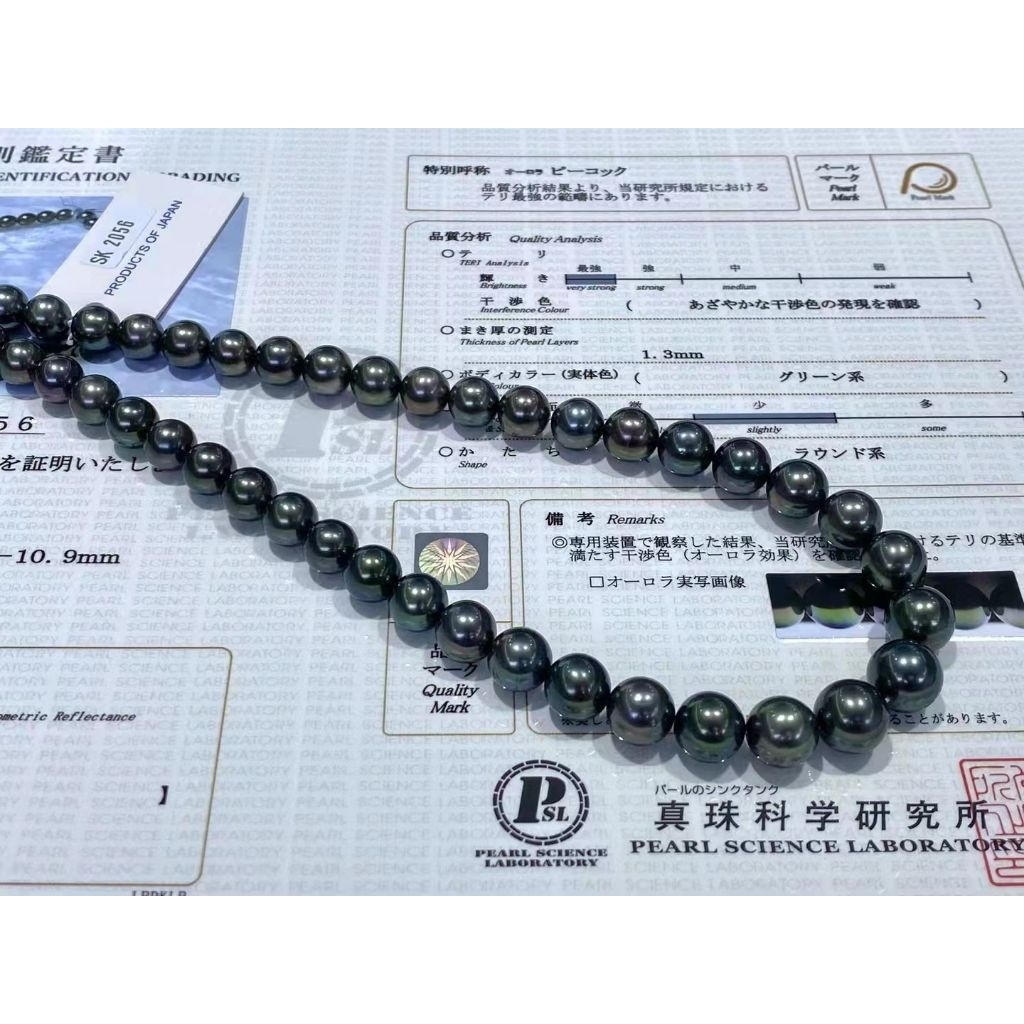 Kalung Mutiara Hitam Tahiti Aurora Peacock Sertifikat PSL Japan Asli
