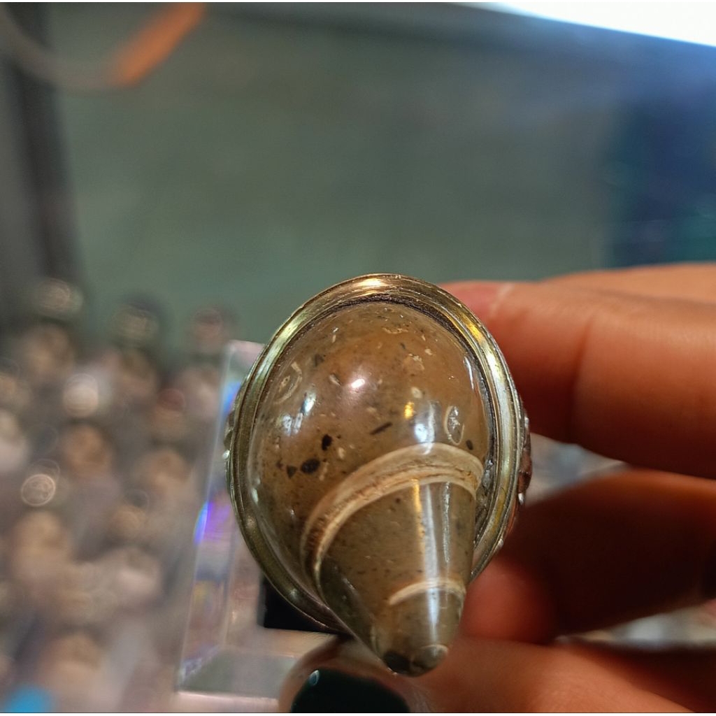 Cincin Fosil keong/kool buntet(Natural)
