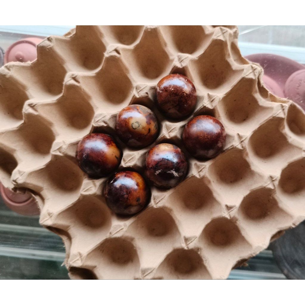 Telur Asin Bakar Asli Brebes Isi 6pcs