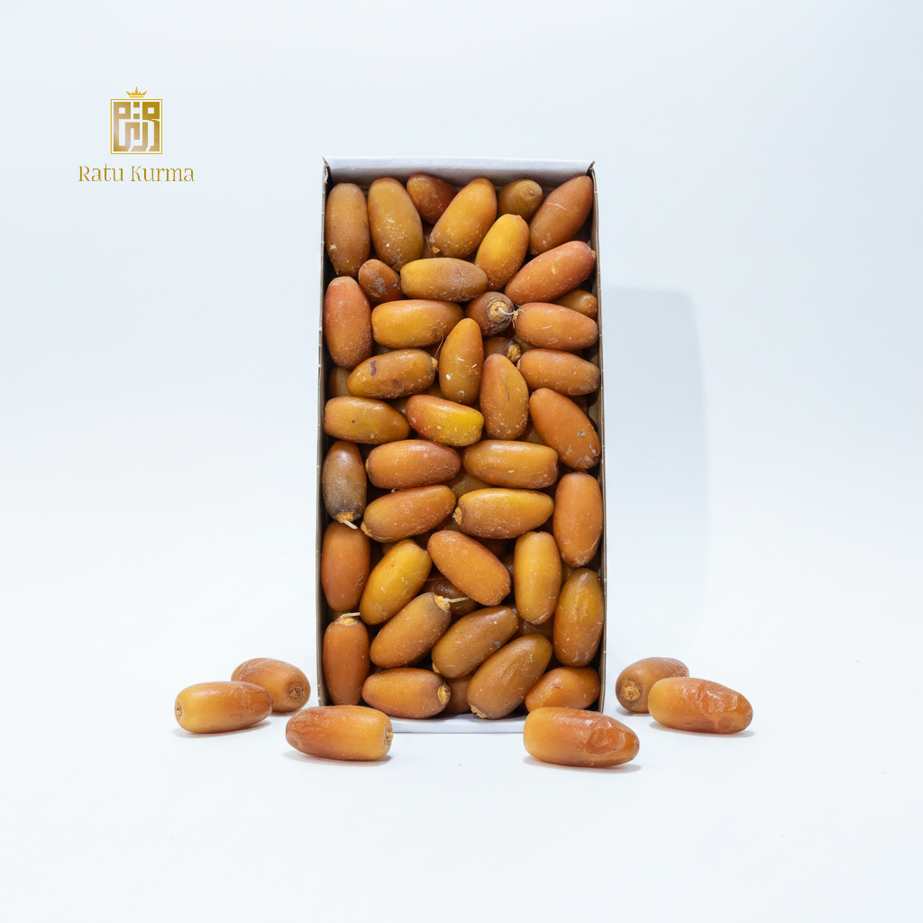 Kurma Ruthob Libiya Ruthab Merk Al Awael Dates Isi -+ 1 Kg Asli Libya Grosir Murah