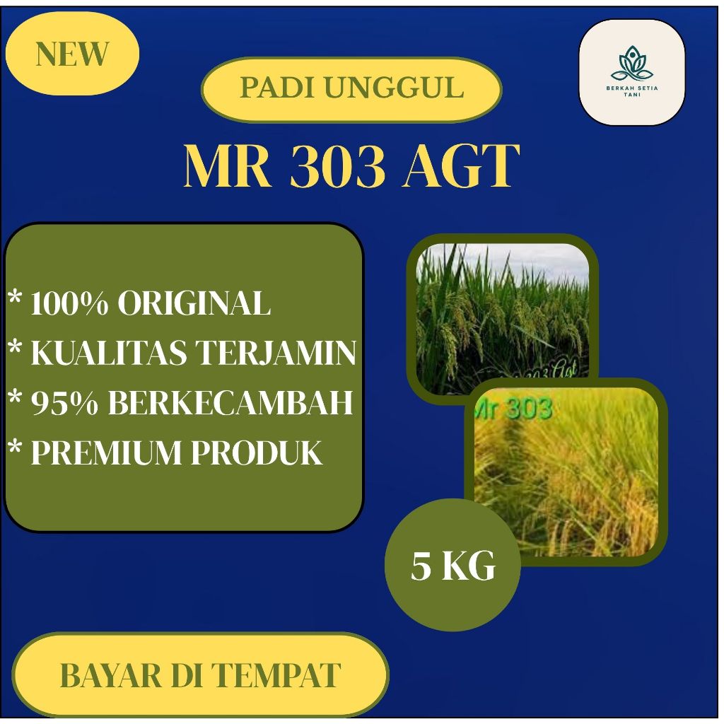 Benih Bibit Padi AGT 303/Padi Unggul 303 AGT Kemasan 5kg