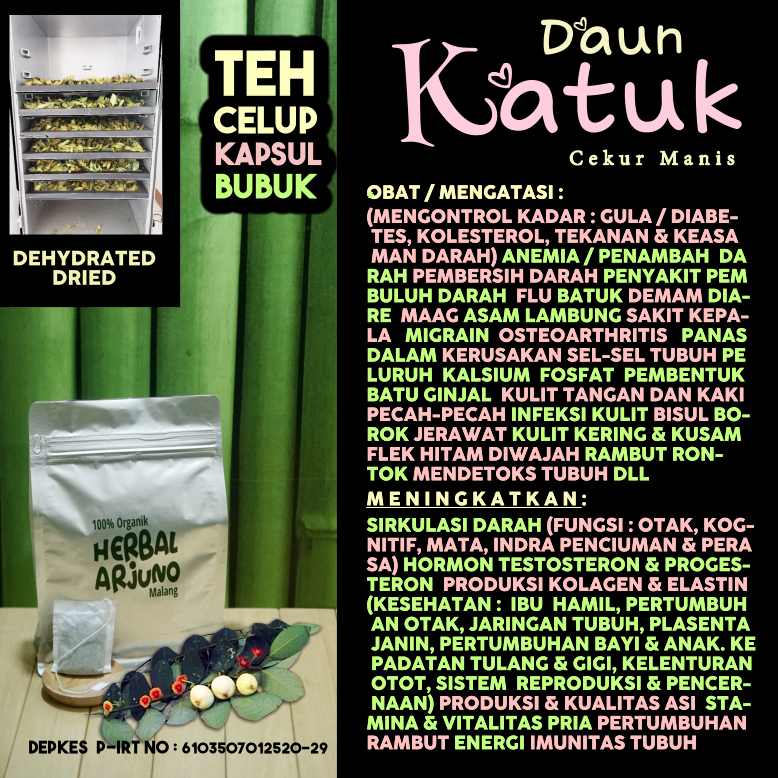 Daun Katuk Teh Celup Kapsul Bubuk Dehydrated Dried Obat Anemia Pembersih Pembuluh Tambah Darah Diabe