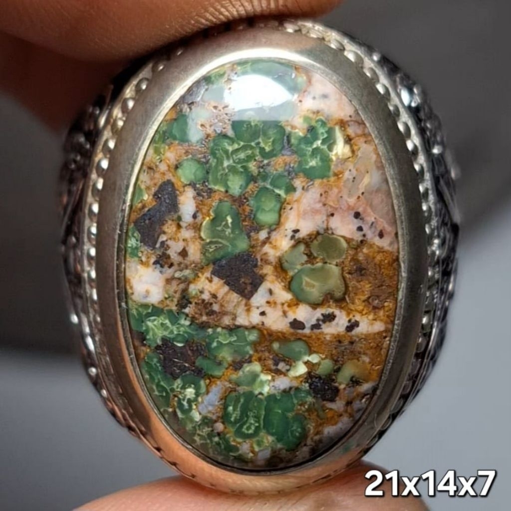NATURAL PIRUS PERSIA HIJAU DAUN WARNANYA LANGKA