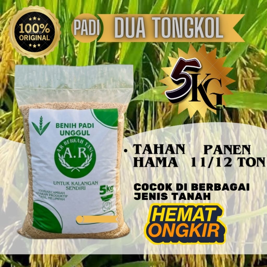 DUA TONGKOL ) BIBIT PADI UNGGUL BENIH PADI BERKUALITAS PREMIUM KEMASAN 5KG