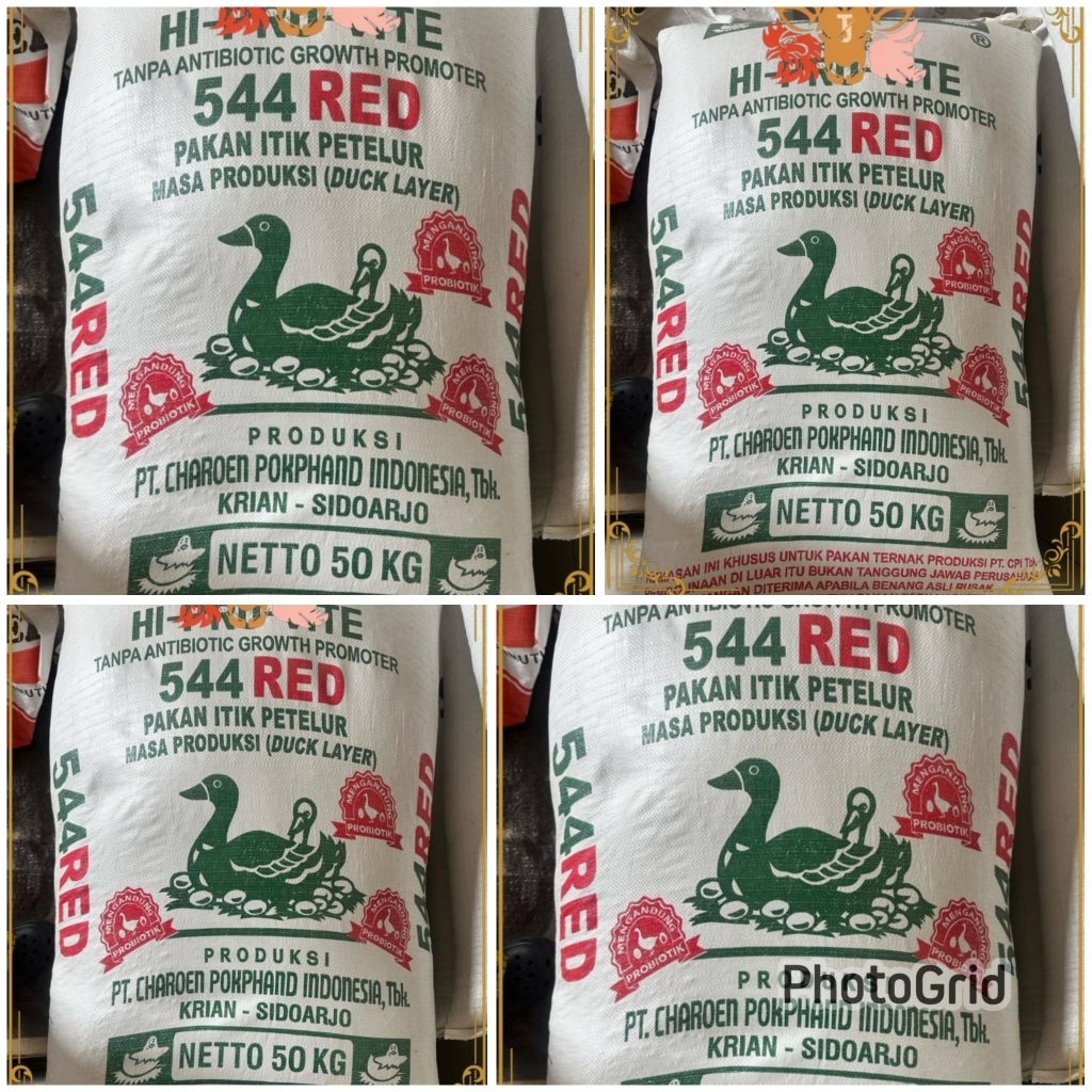 544red hi pro vite pakan itik petelur duck layer