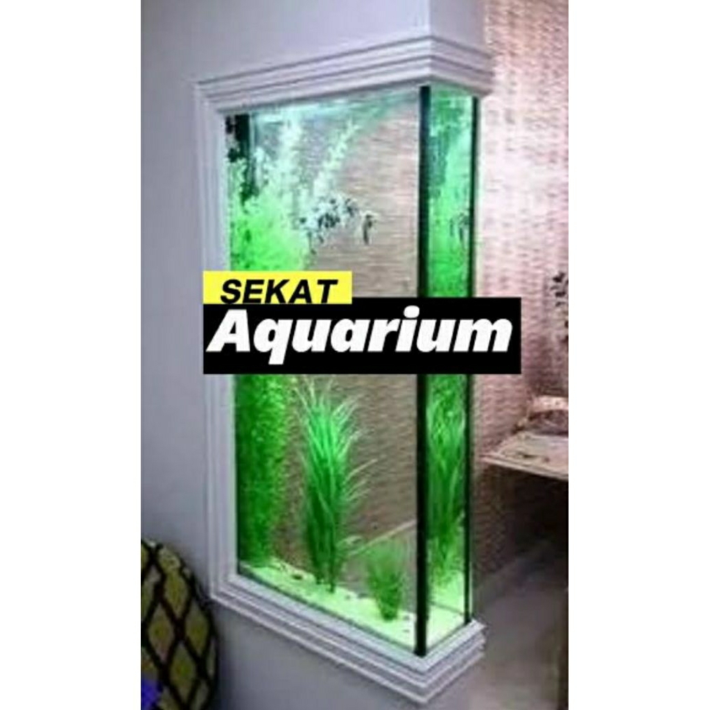 aquarium dinding 60x15x80 full 8mm aquarium kaca