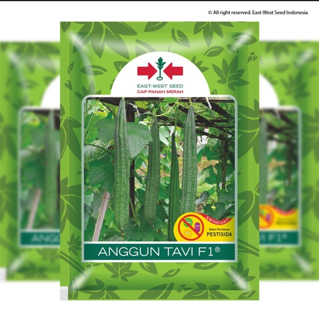 JUAL BENIH OYONG ANGGUN TAVI 75PCS