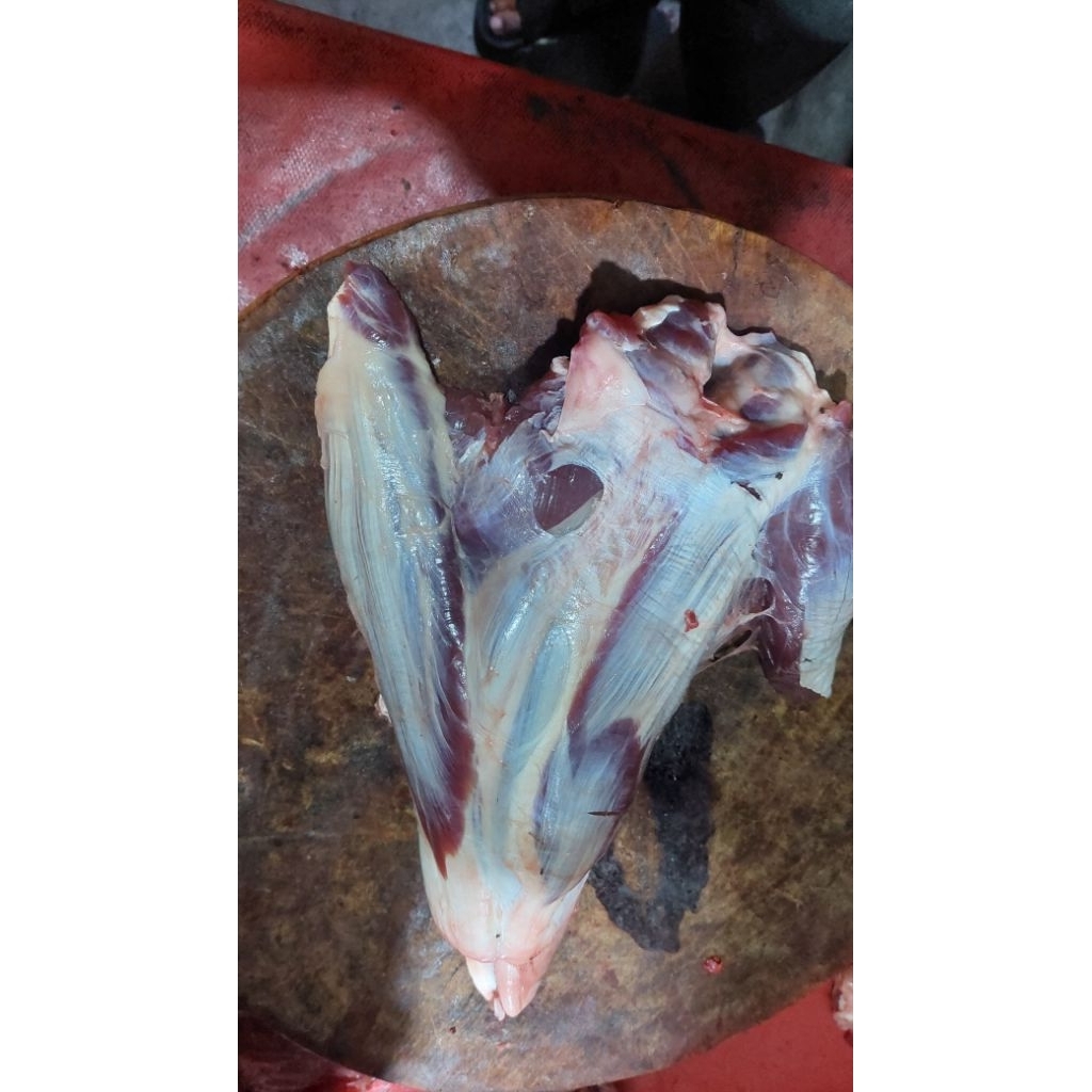 Daging Sengkel Kembang Sapi Lokal Fresh