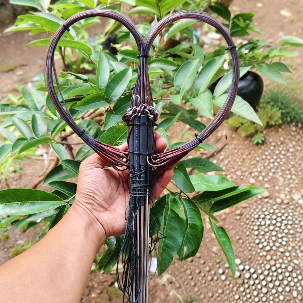 Jerat ayam hutan liar model kupu kupu siap pakai Racik tabur & tarung
