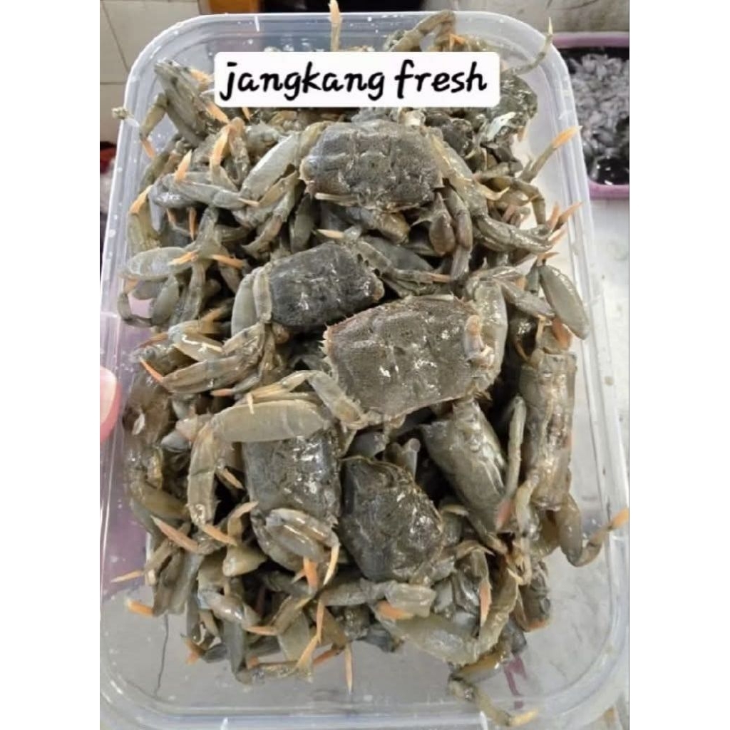 jangkang segar/baby Crab mentah ready pagi saja