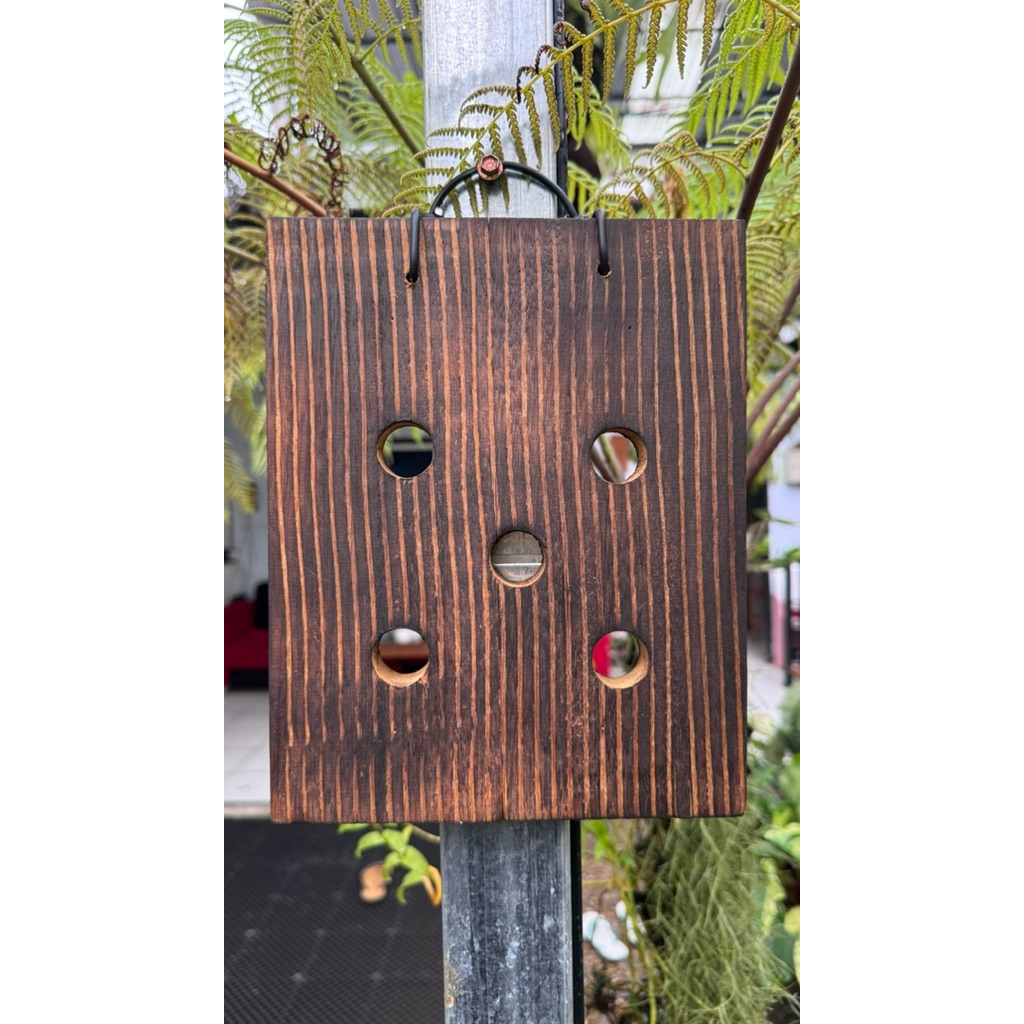 papan mounting platycerium kayu ulin