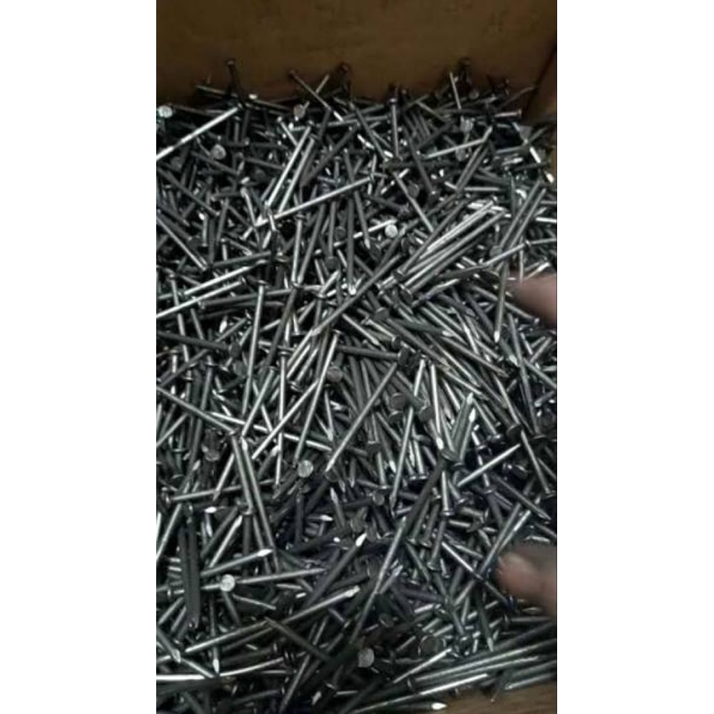 Paku / Paku KAYU Ukuran Lengkap 1 kg