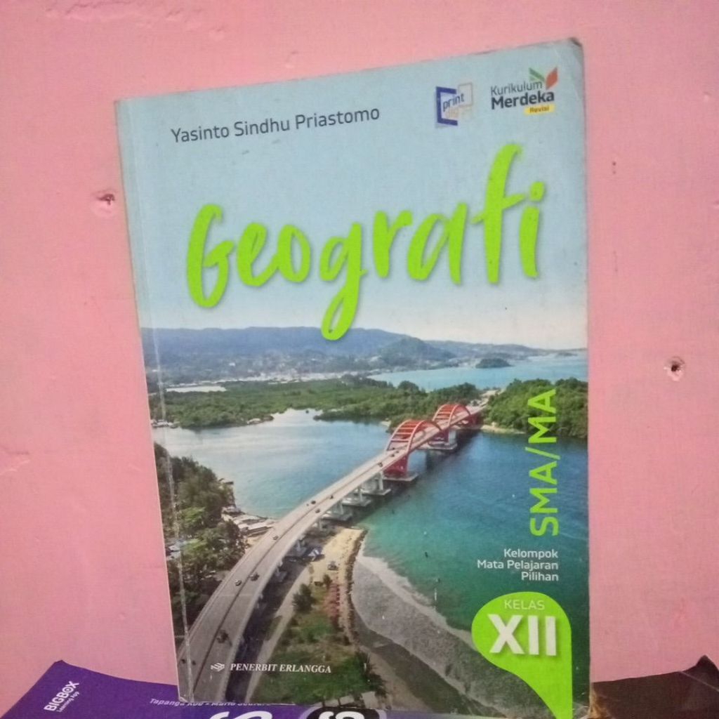 buku geografi kelas 12 SMA