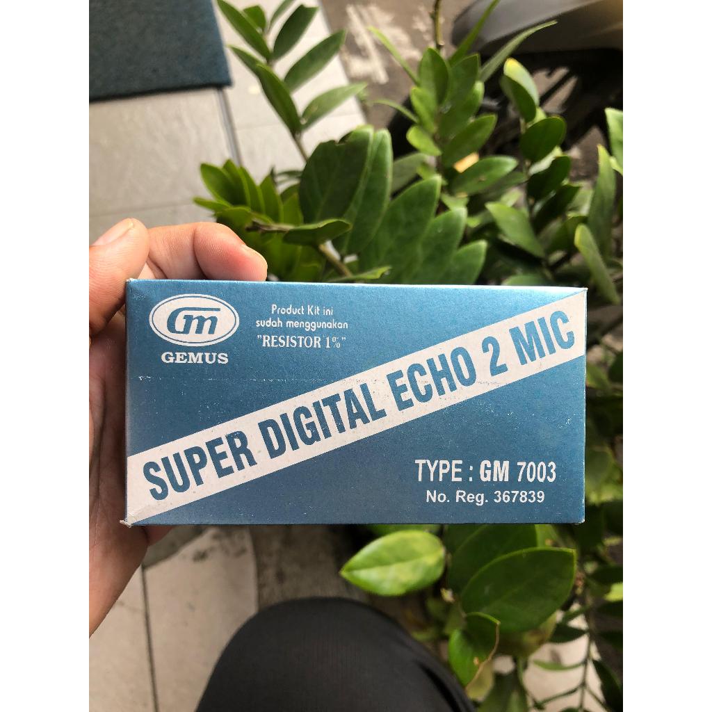 Kit digital echo repeater mini GM 7003
