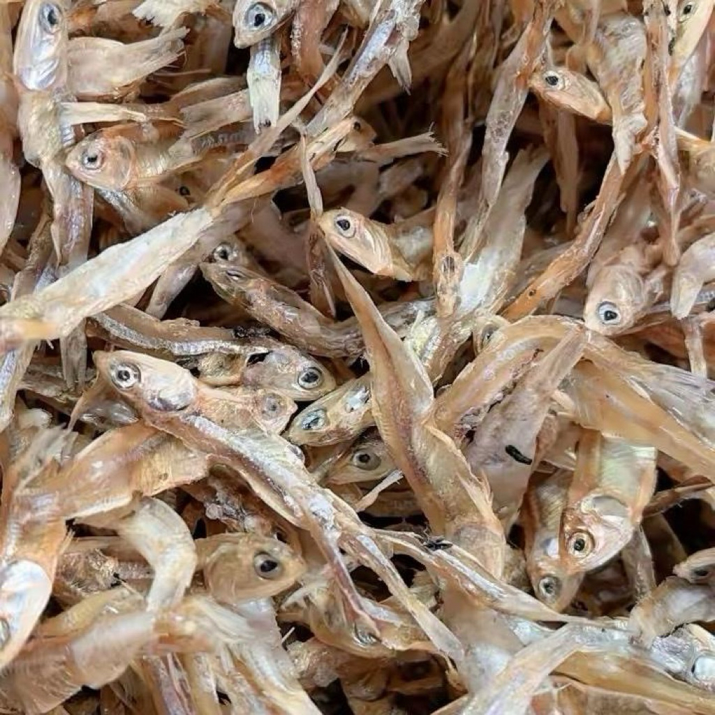 Ikan Teri jengki Tawar sedang besar dan teri bunga tawar kering kualitas super