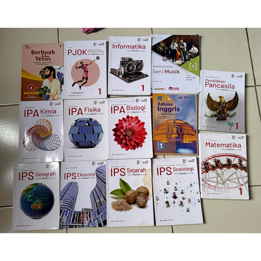 Buku bekas kelas 10 (erlangga, grafindo, AKM)