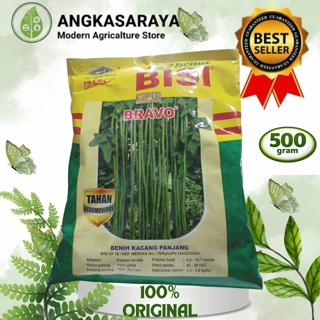 Benih Kacang Panjang Bravo 500gr - Cap Kapal Terbang