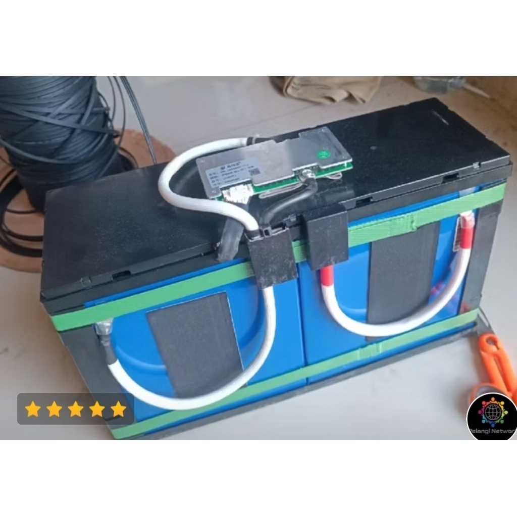 lifep04 24v plus BMS