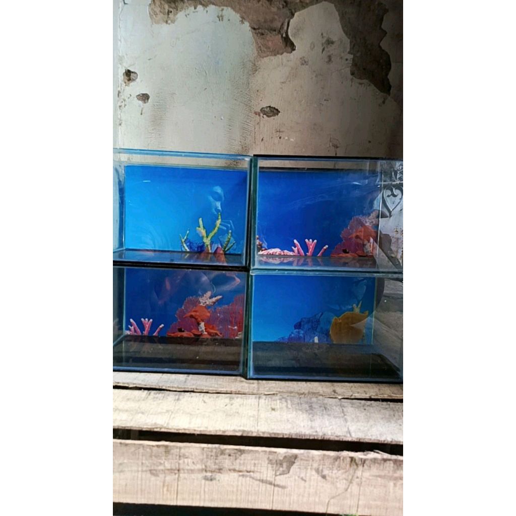 Aquarium 30x20x20