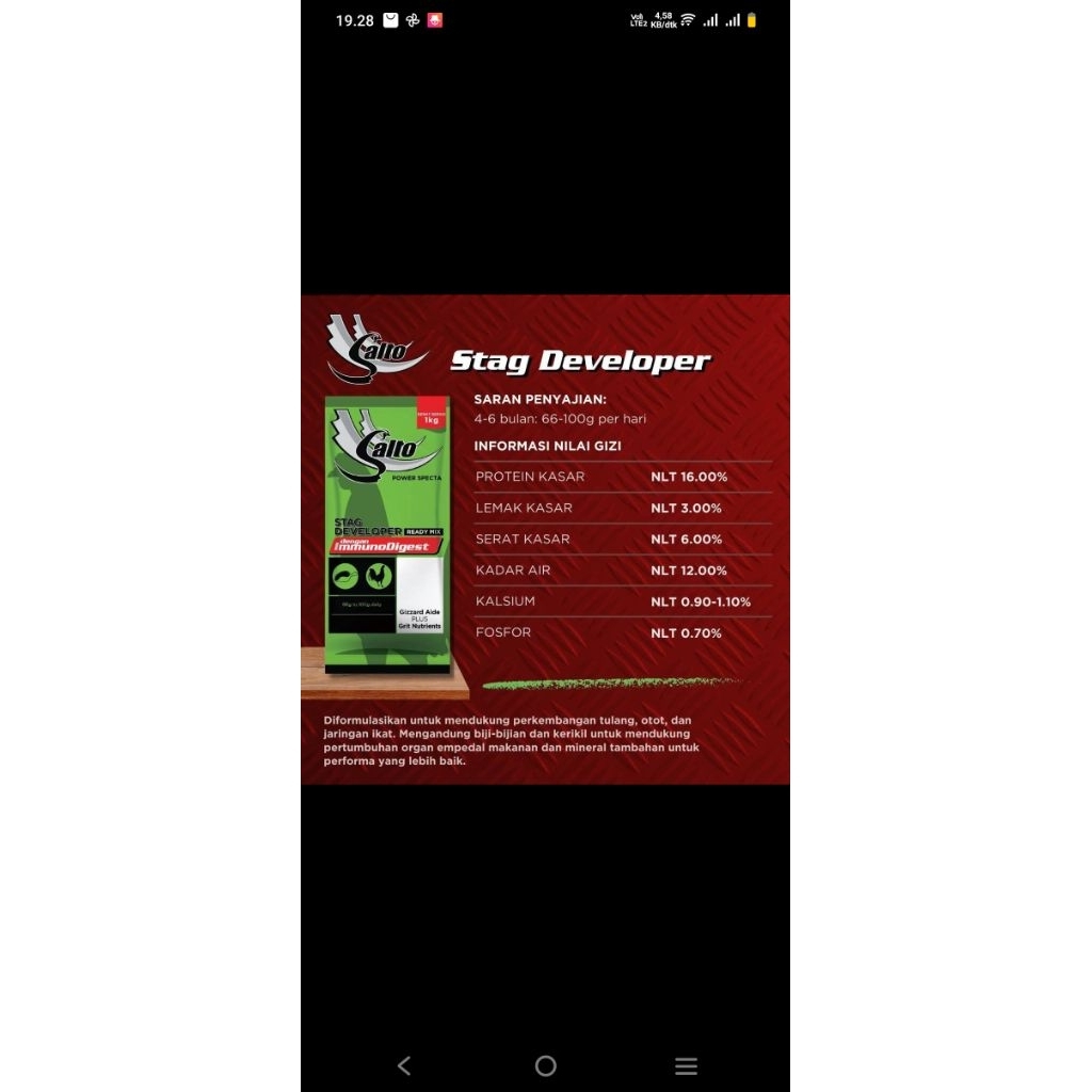 salto stag developer