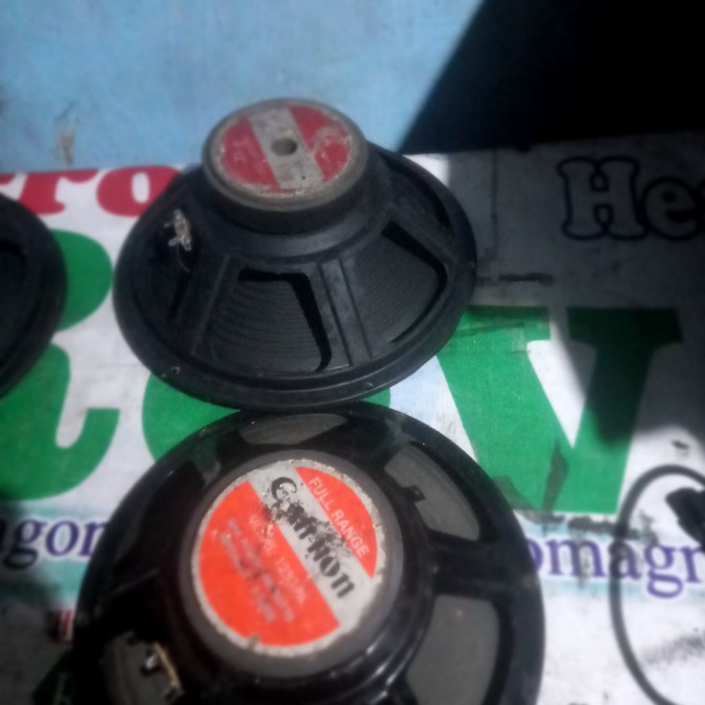 speaker 12 in borongan