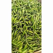 Cabe rawit hijau caplak segar, cabe rawit hijau caplak, cabe hijau