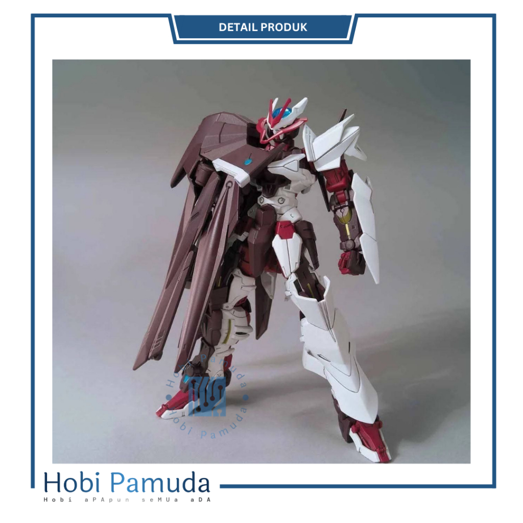 HG 1/144 Astray No Name By Beast Model + Standbase