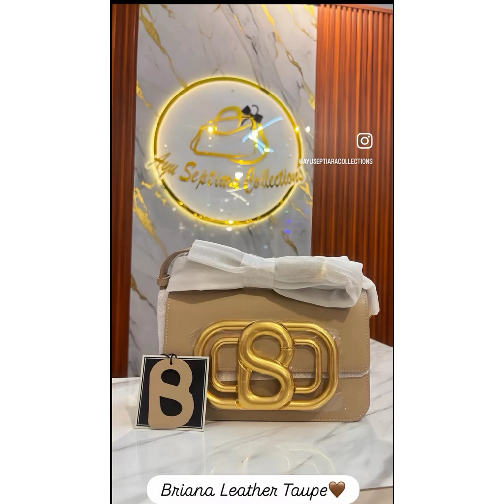 Briana bag Buttonscarves