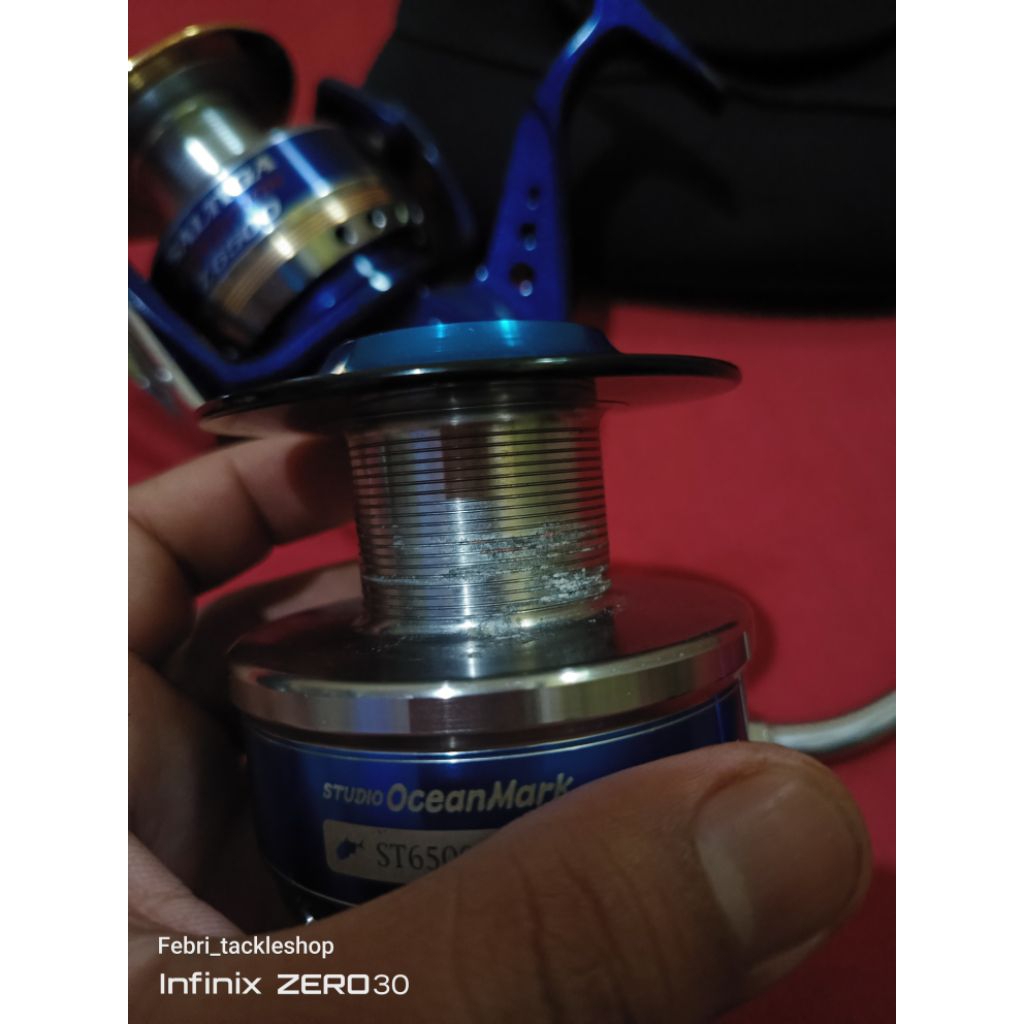 Daiwa Saltiga Expedition 6500