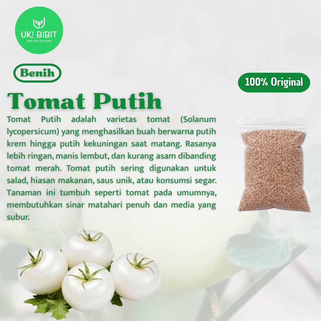 ( 5 Butir ) Benih Biji Tomat Putih | White Tomato | White Great Tomato