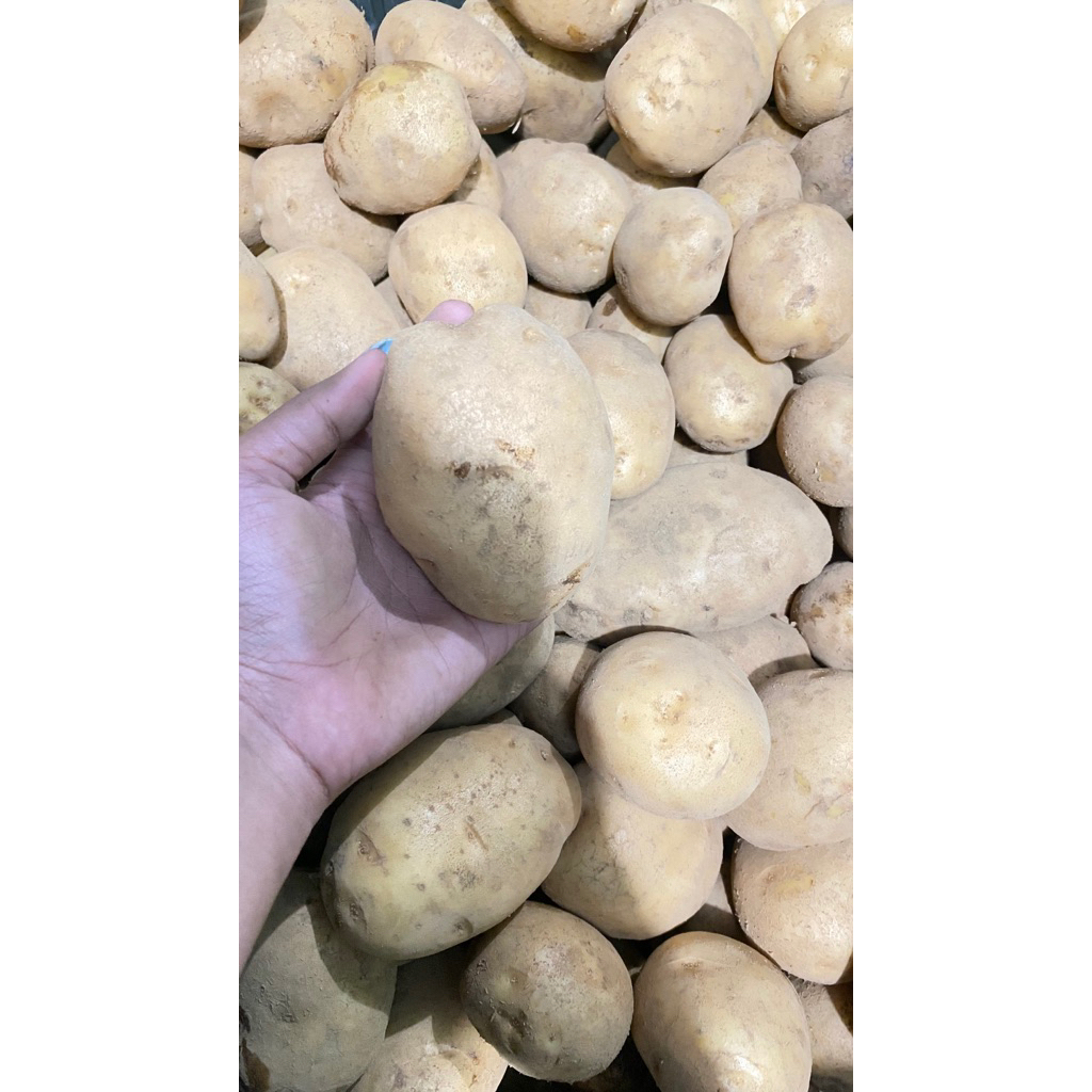 kentang super 1Kg