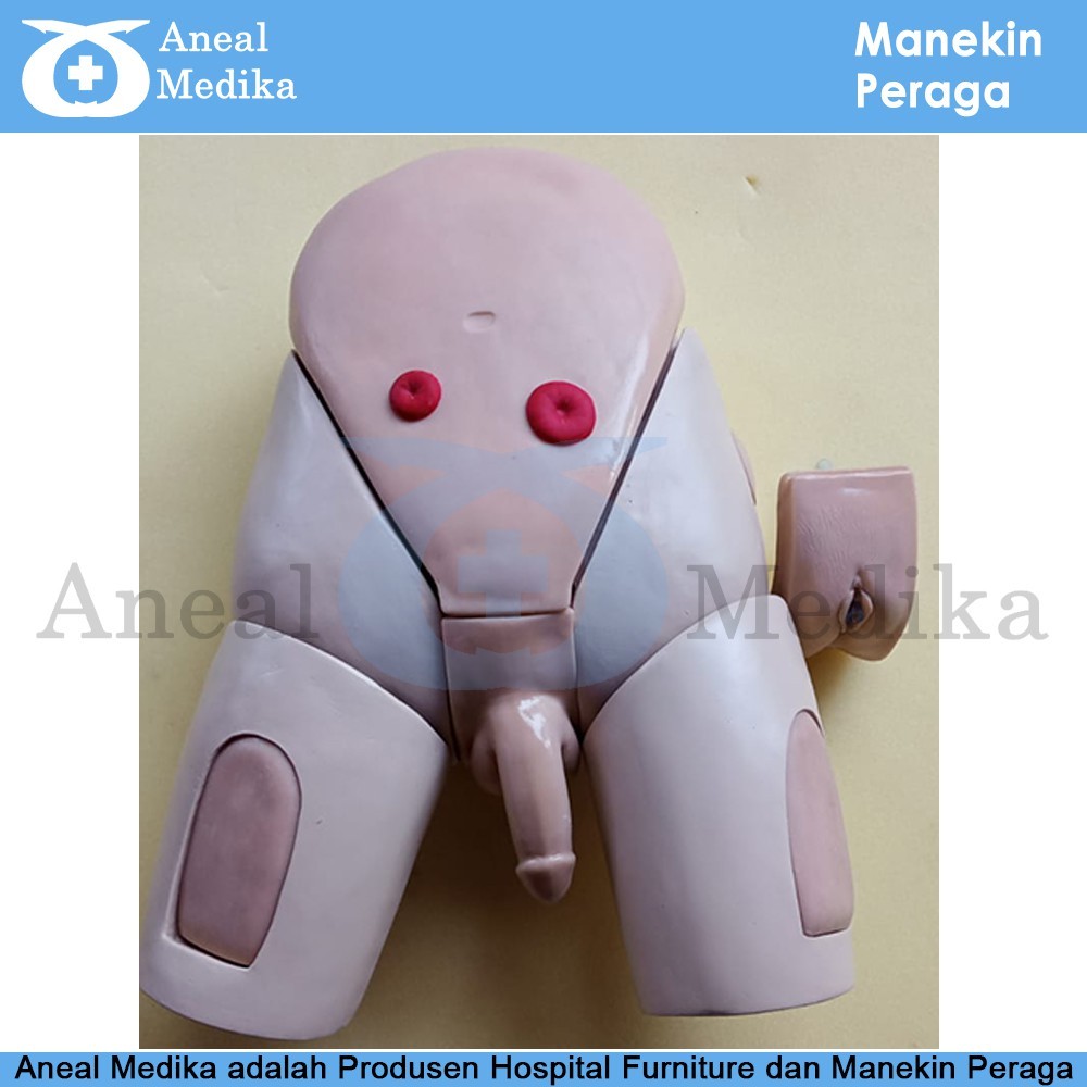 Manekin Peraga Multi Kateter - Manekin Multi Kateter Pria Dan Wanita