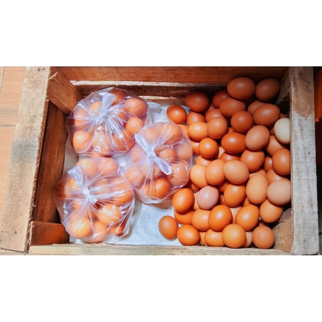 TELUR AYAM NEGRI 1 KG