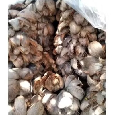 sabut kelapa untuk media tanam 1 kg
