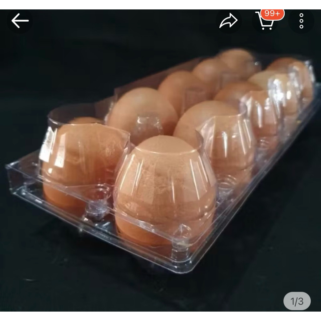 telur ayam kemasan mika isi 10 khusus instan