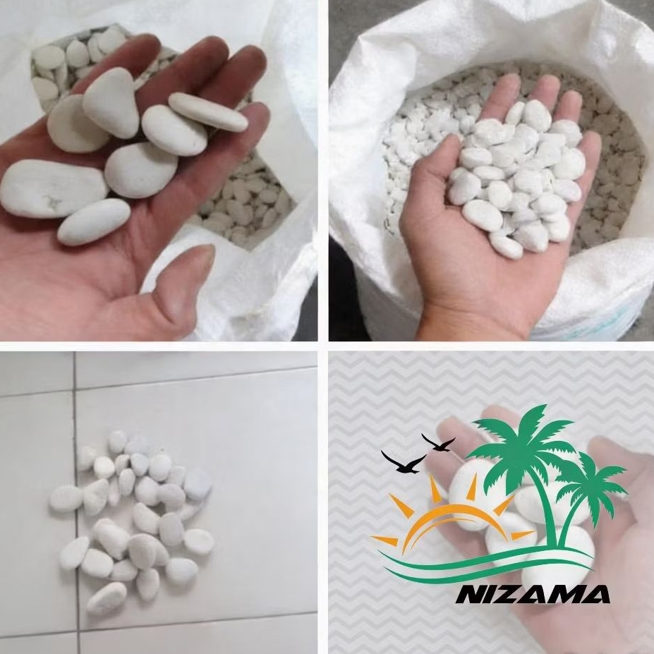 1kg batu putih kupang/Batu koral putih/batu taman/Batu hias coral putih paling kecil 1 kg /Batu puti