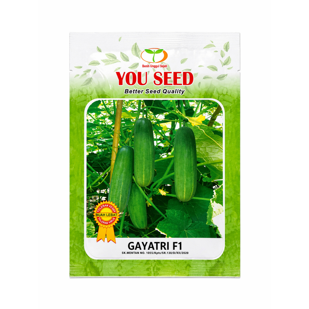 Benih Timun Lalap GAYATRI F1 isi 10 Gram Biji Bibit Hibrida You Seed