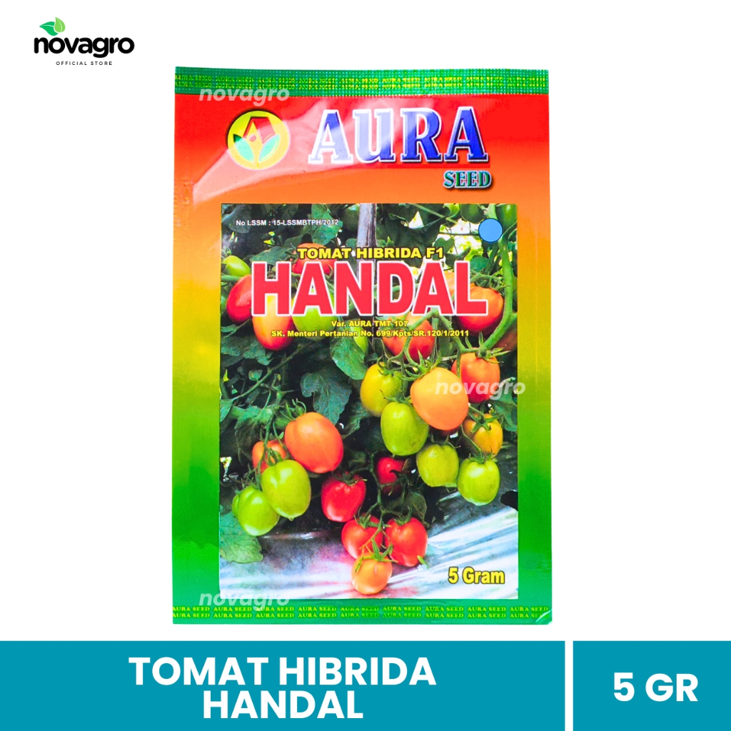 BENIH TOMAT HANDAL 5 GRAM - AURA SEED | TOMAT HIBRIDA BUAH LEBAT