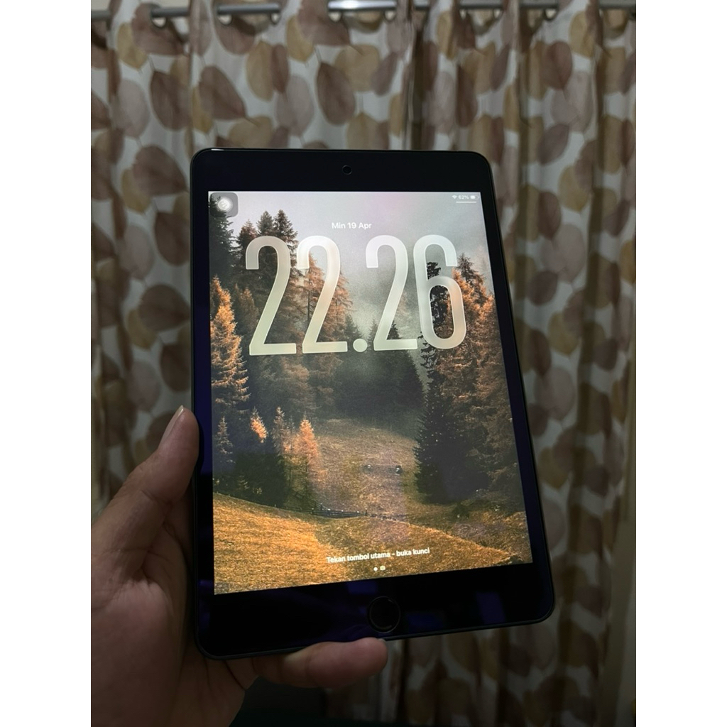 ipad mini 5 wifi cellular 256gb mulus