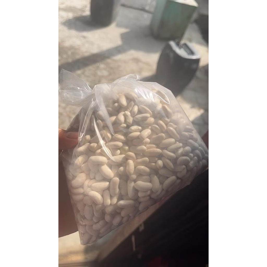 benih buncis repacking logawa ukuran 500gram