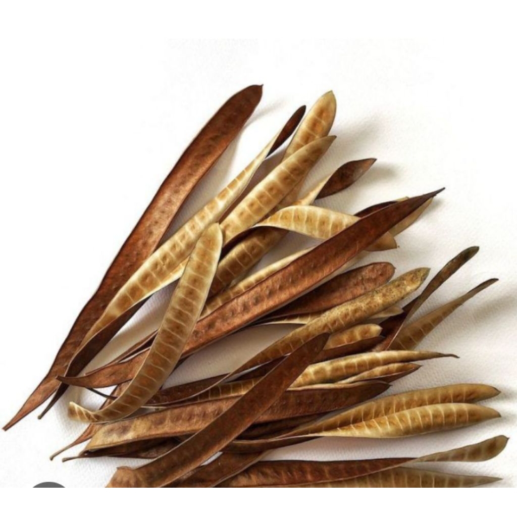 petai cina kering/lamtoro kering/Pete cina kering per 50pcs