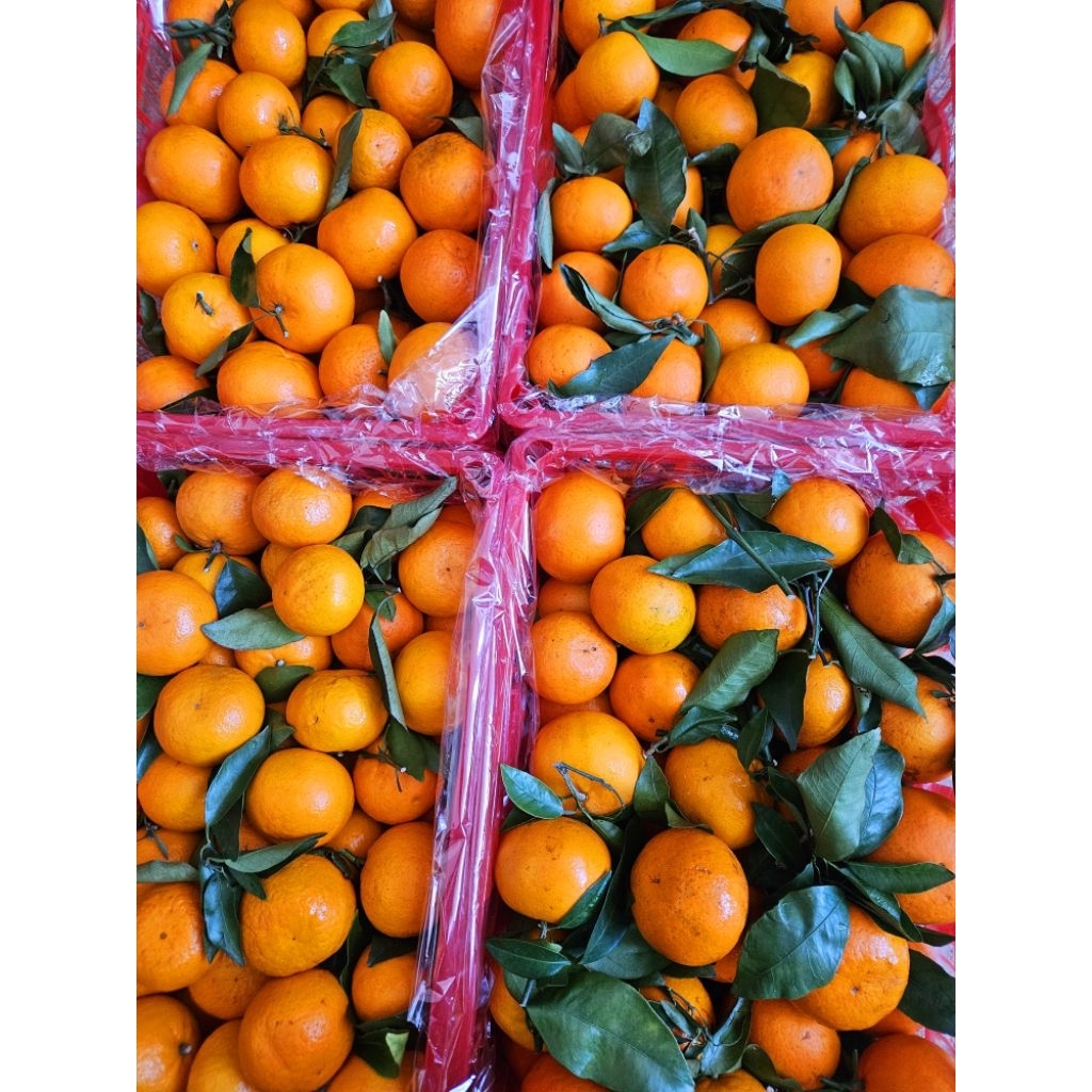 INSTANT jeruk mandarin super manis /jeruk baby / jeruk santang / jeruk wogan /jeruk manis / buah jer