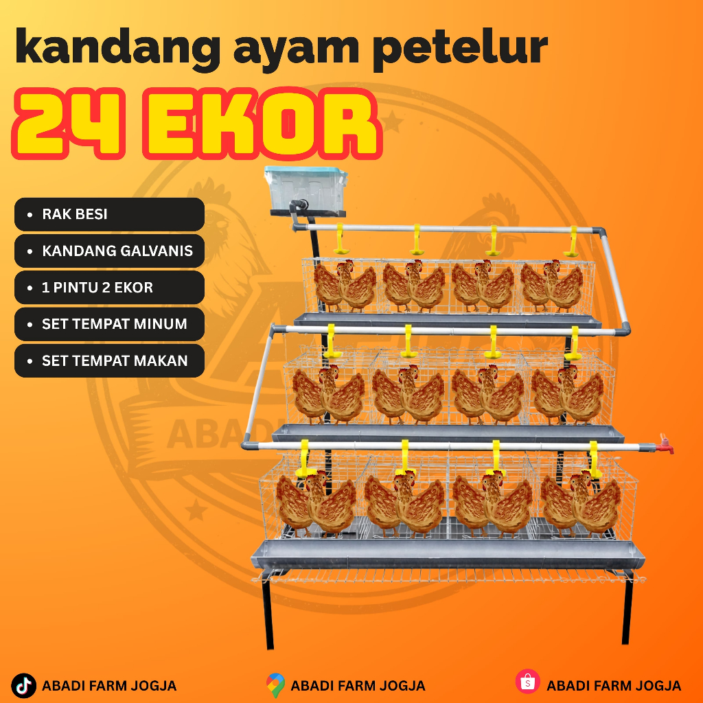 KANDANG AYAM PETELUR GALVANIS fullset lengkap kapasitas 24ekor