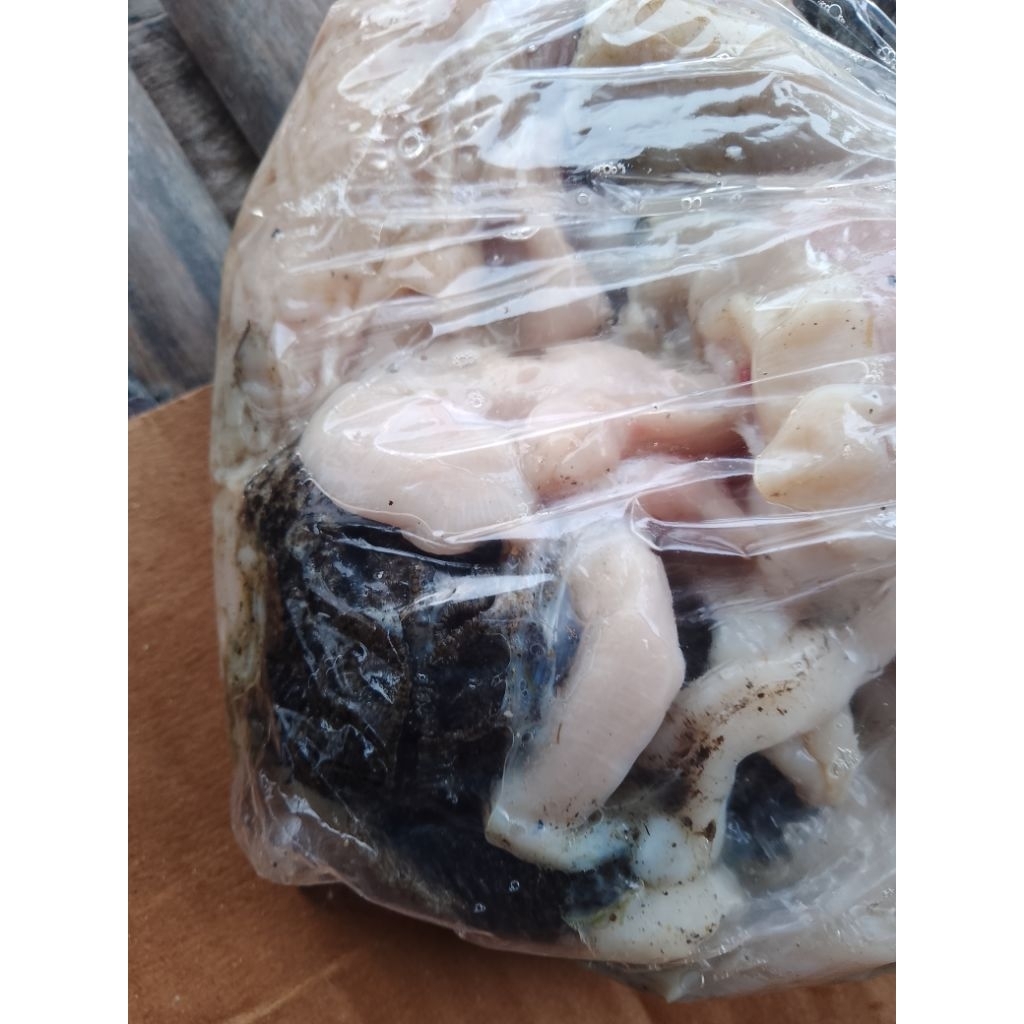 jeroan kambing isi babat usus
