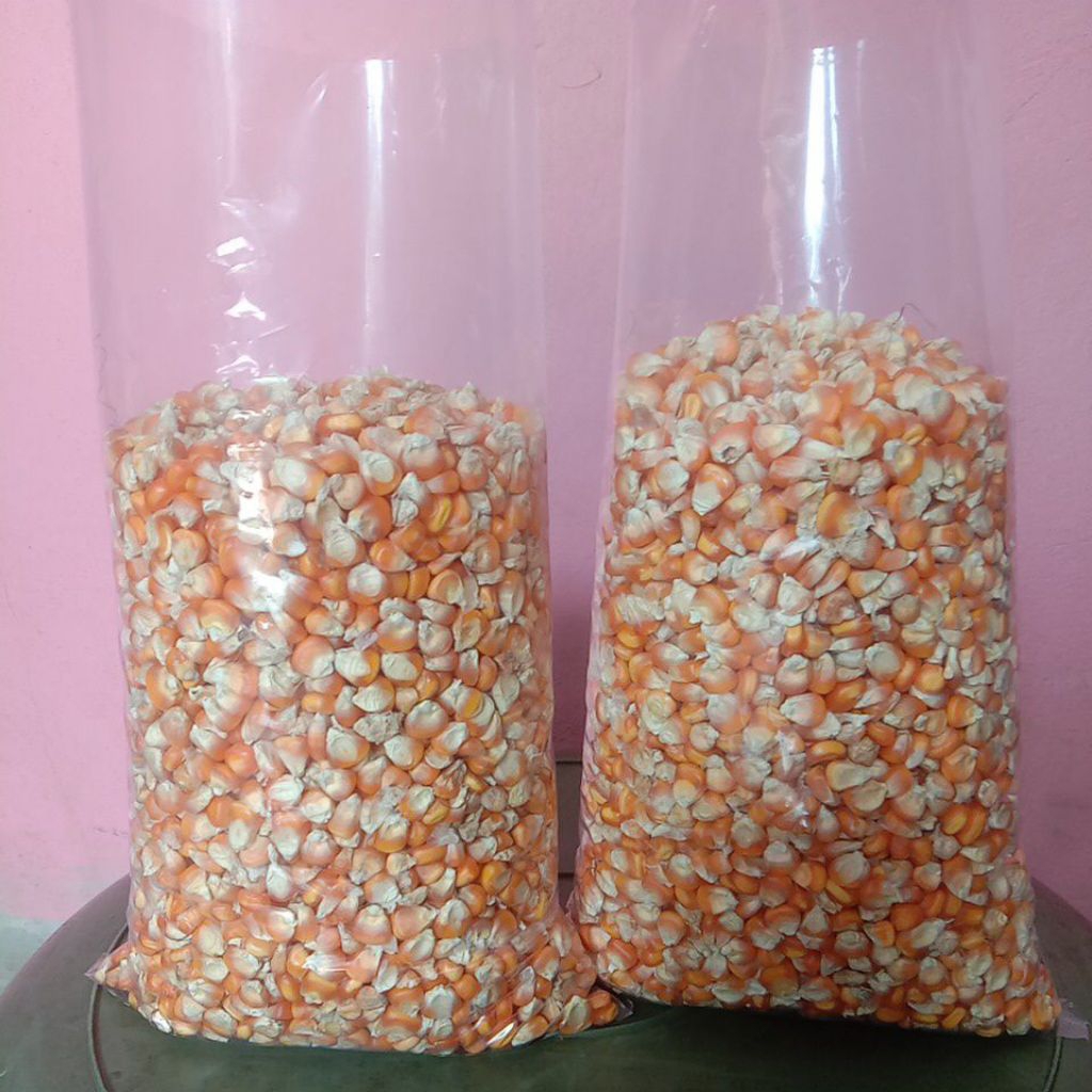 Jagung Kering Jagung Kering Besar Jagung Kering Pakan Merpati Jagung Kering Burung Jagung Kering Pak