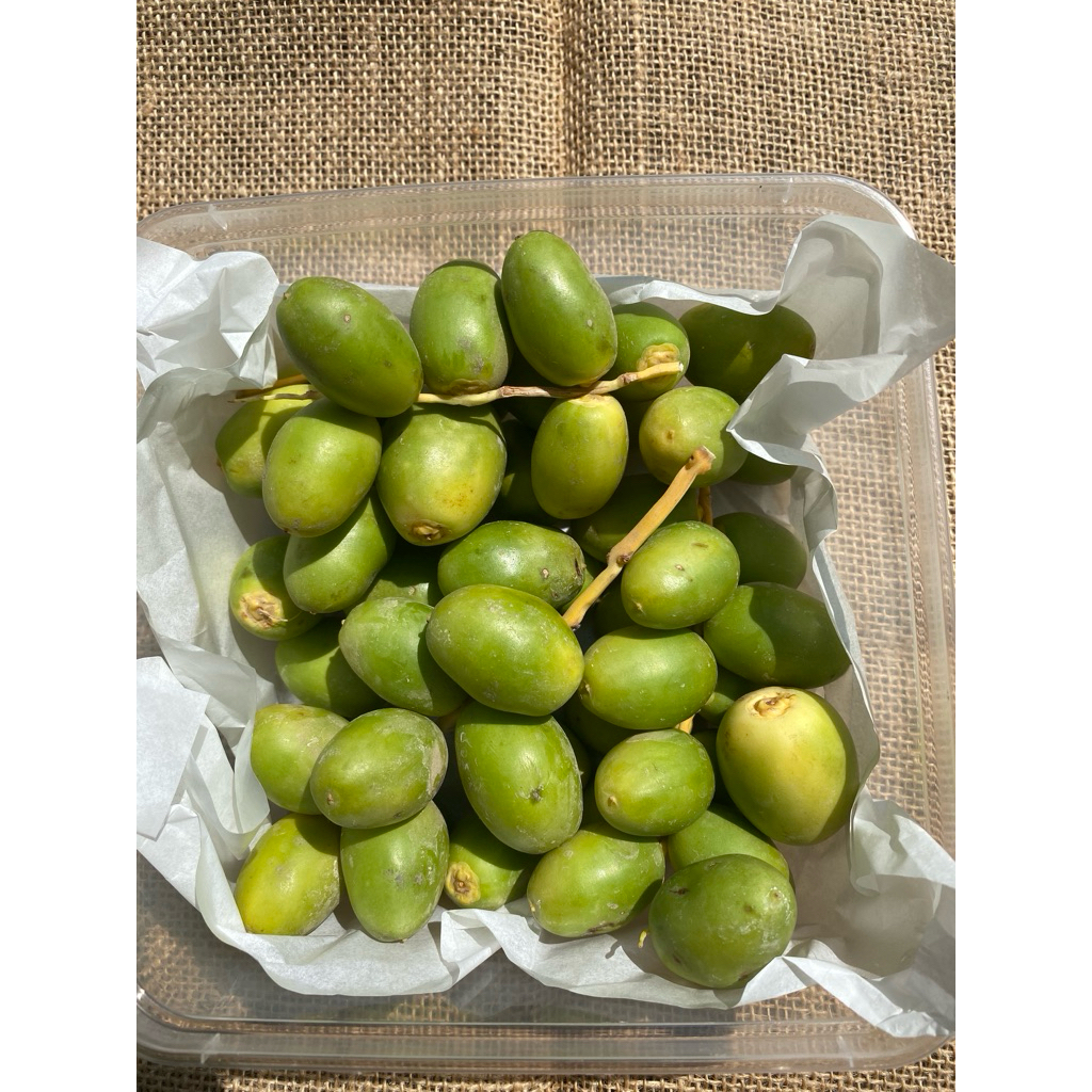 KURMA MUDA HIJAU FRESH