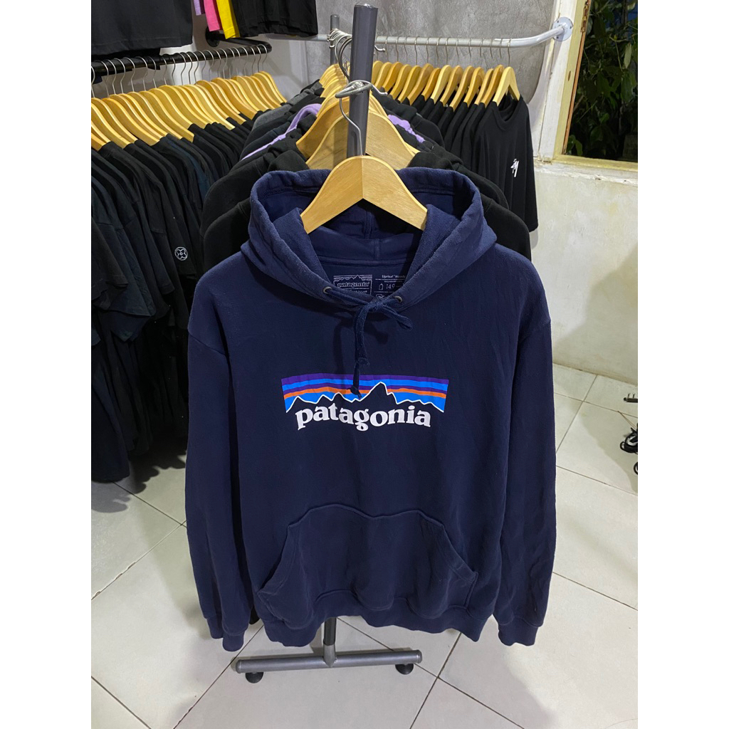 hoodie patagonia second